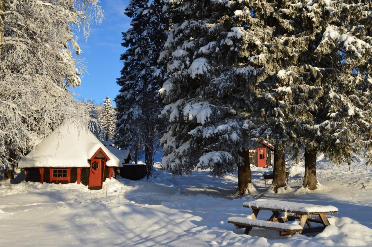 Hyttegrend Lodge *