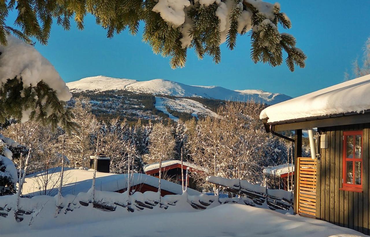 Hyttegrend Lodge Trysil