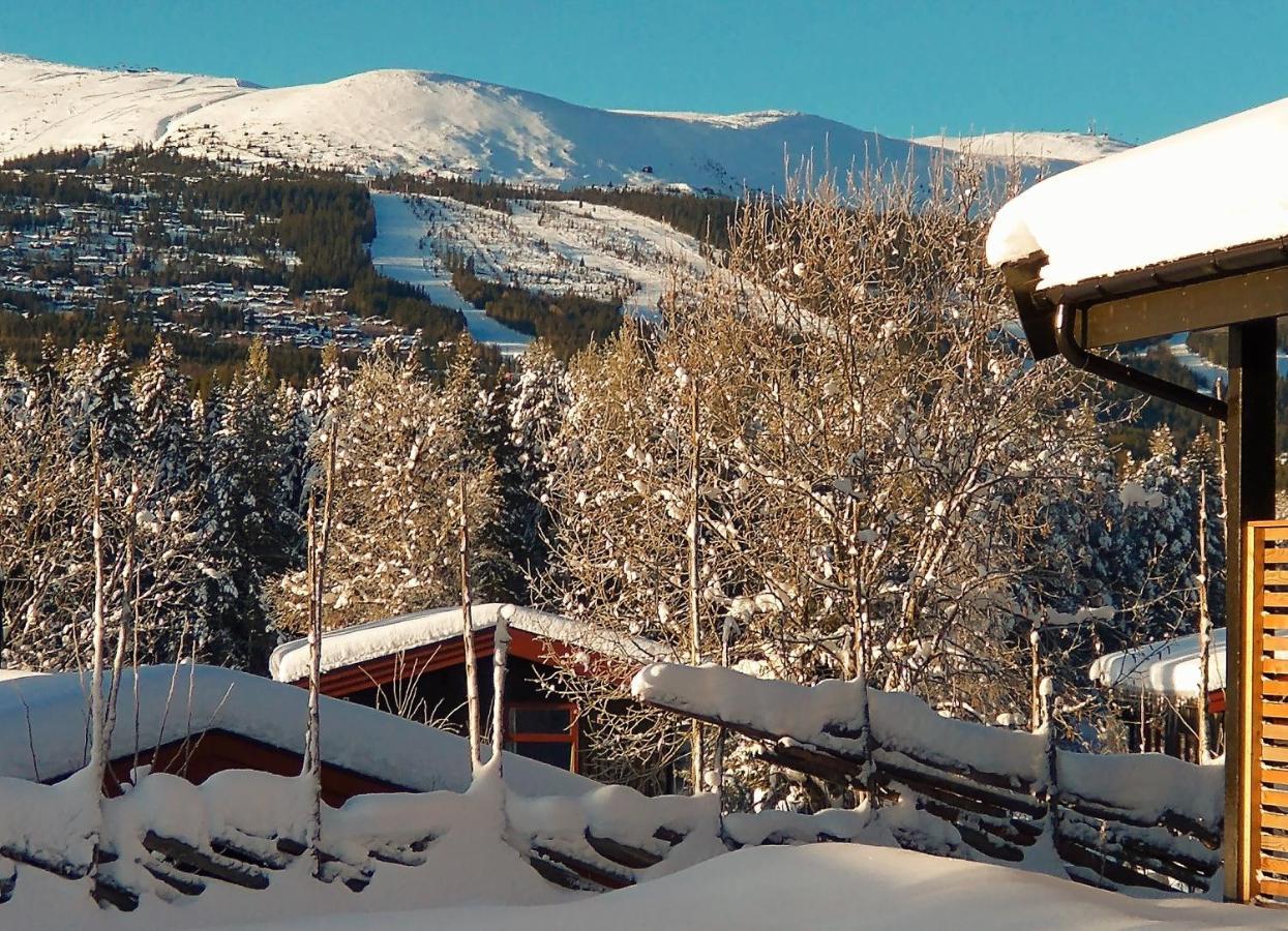 Lodge Hyttegrend
