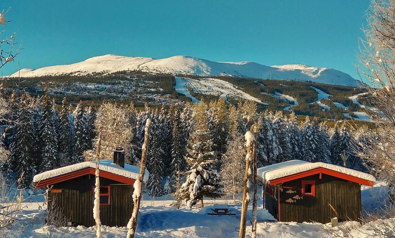 Hyttegrend * Trysil