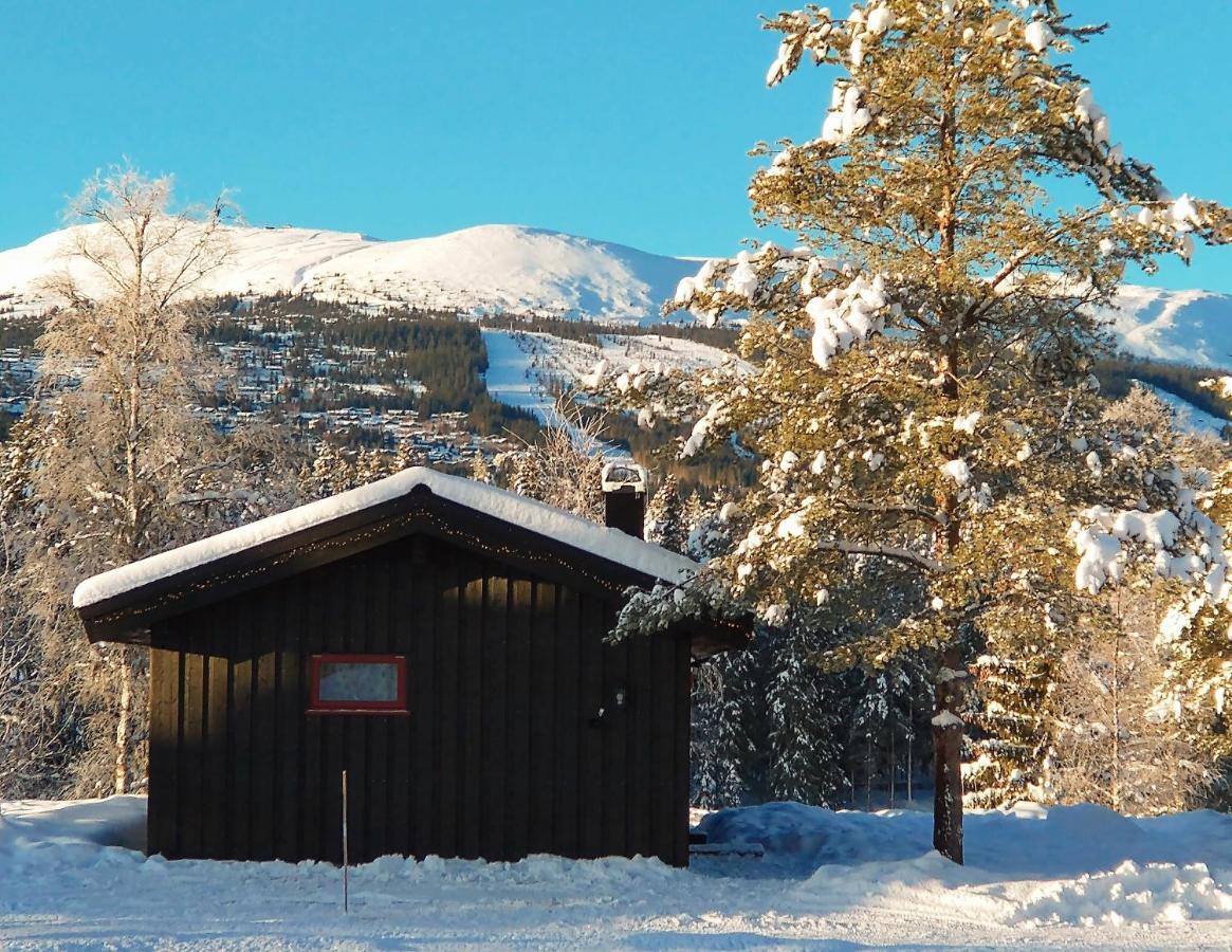 Lodge Hyttegrend Trysil