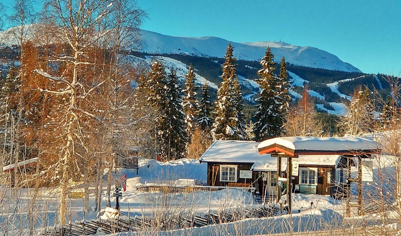 Lodge Hyttegrend *