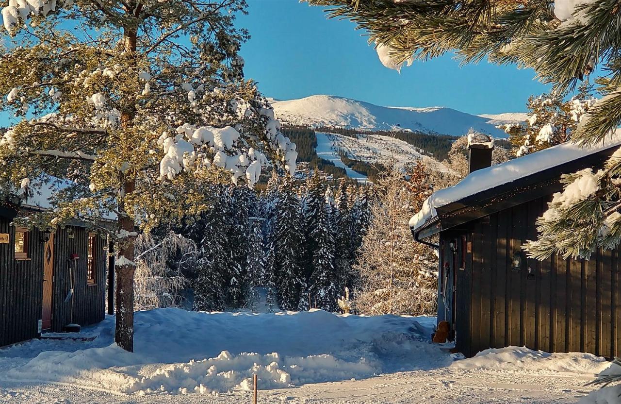 Hyttegrend Lodge Trysil