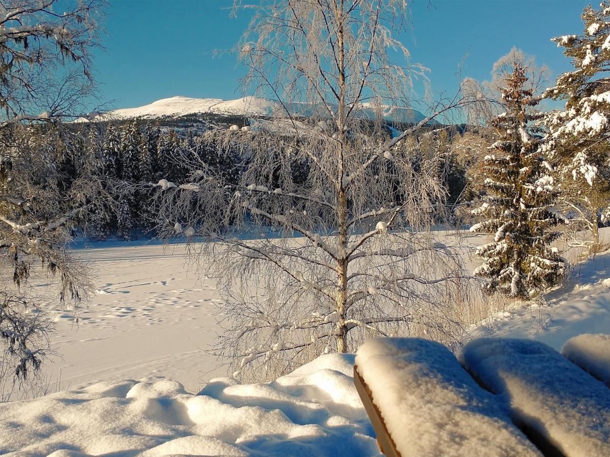 Hyttegrend Lodge Trysil