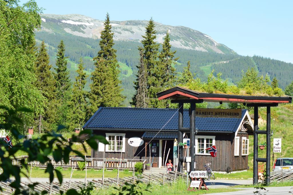 Hyttegrend * Trysil