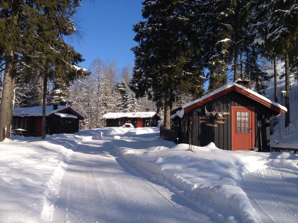 Hyttegrend Trysil