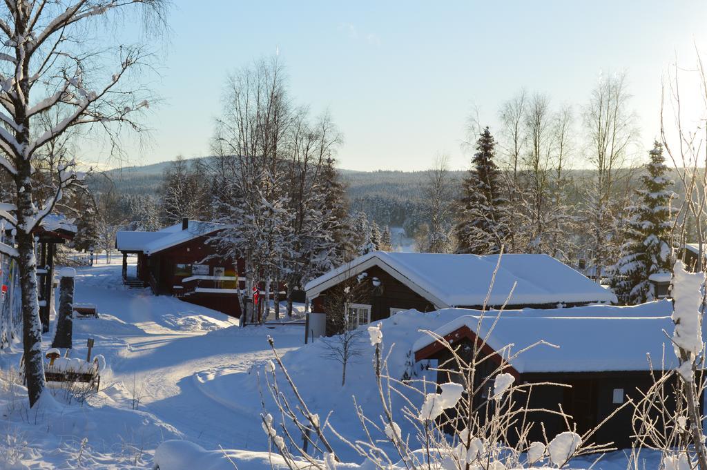Lodge Hyttegrend
