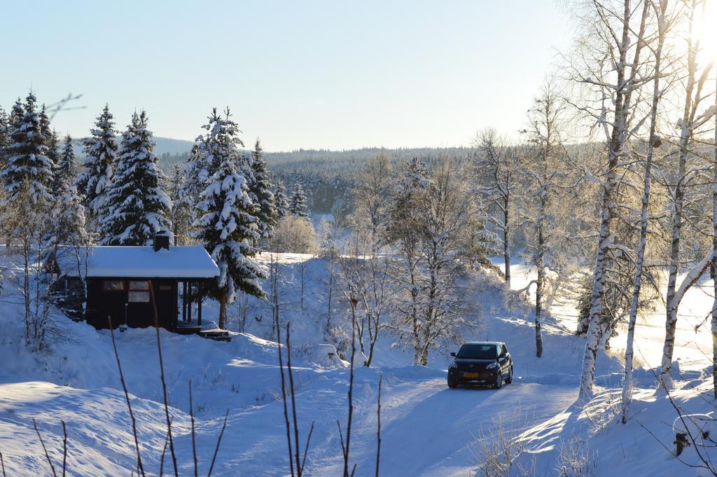 Lodge Hyttegrend *