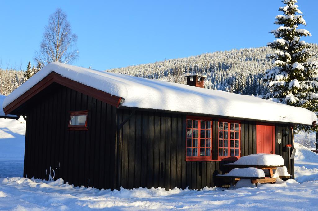Hyttegrend * Trysil