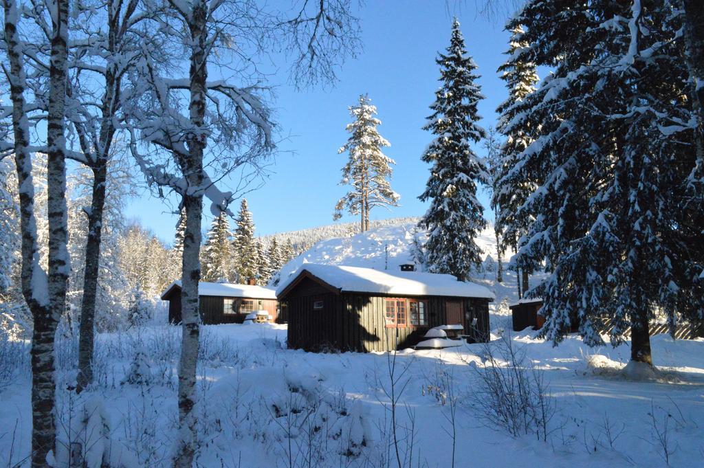 Hyttegrend * Trysil