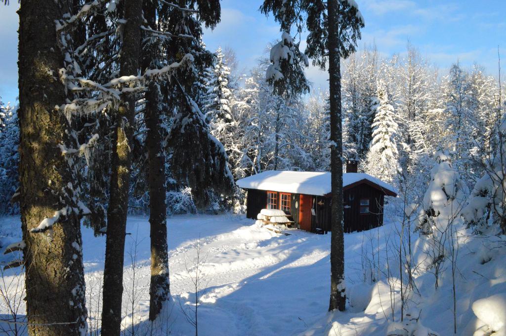 Hyttegrend Trysil