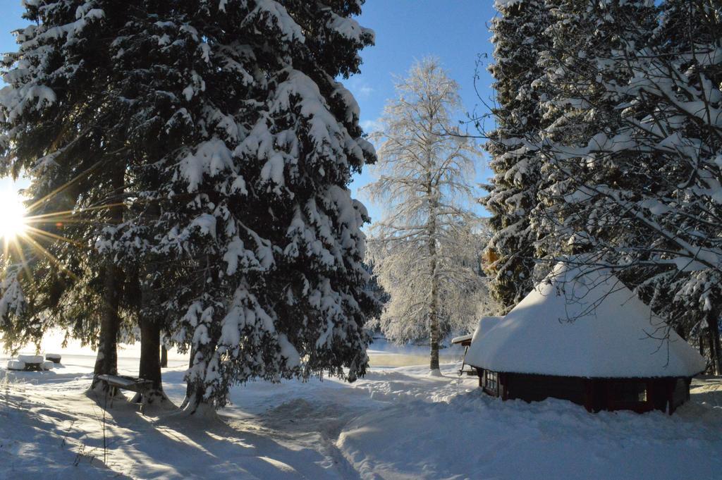 Lodge Hyttegrend Trysil