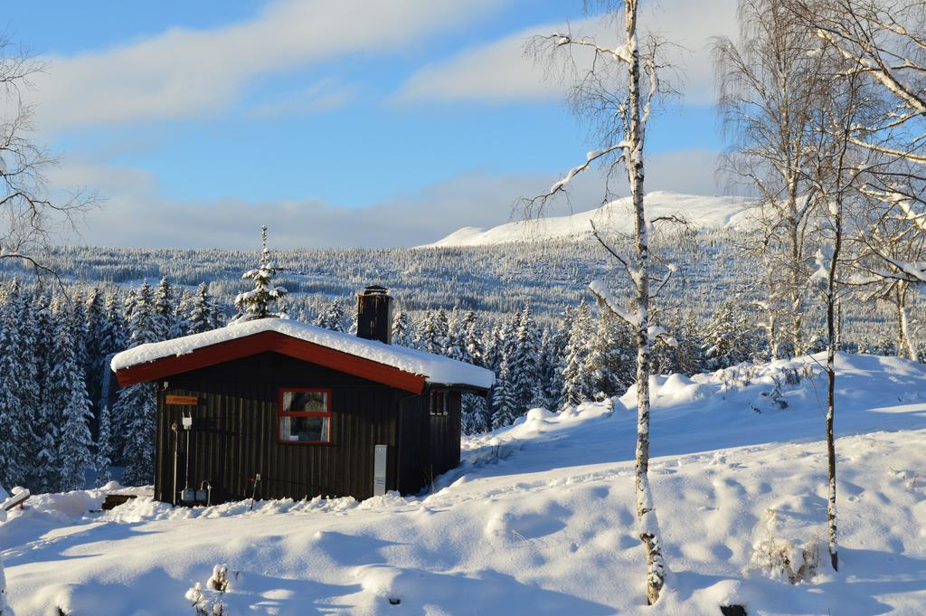 Hyttegrend Lodge Trysil