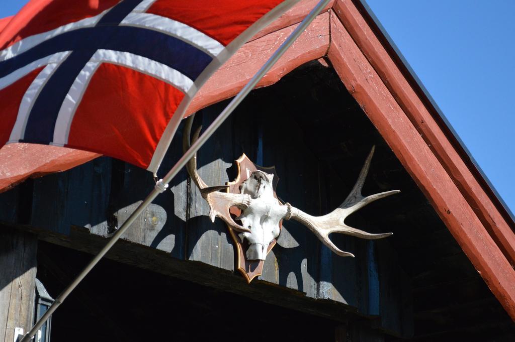 Hyttegrend Trysil