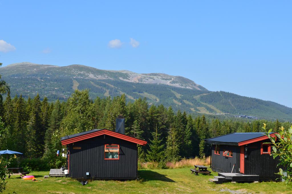 Hyttegrend * Trysil