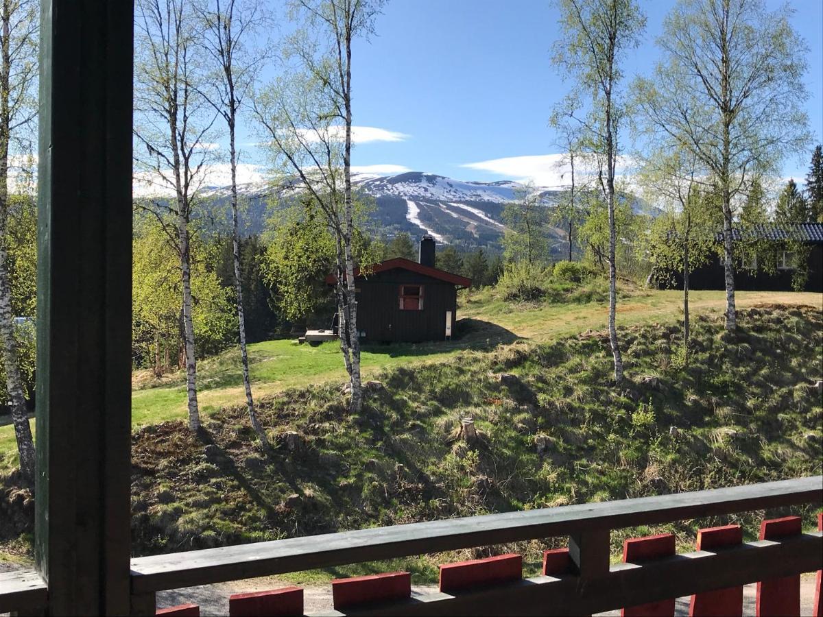 Lodge Hyttegrend *